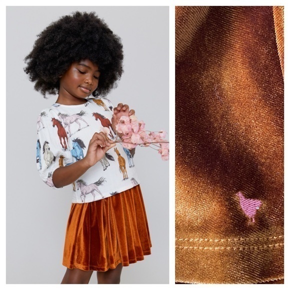Pink Chicken Other - Pink Chicken Gianna Skirt Burnt Orange Velour